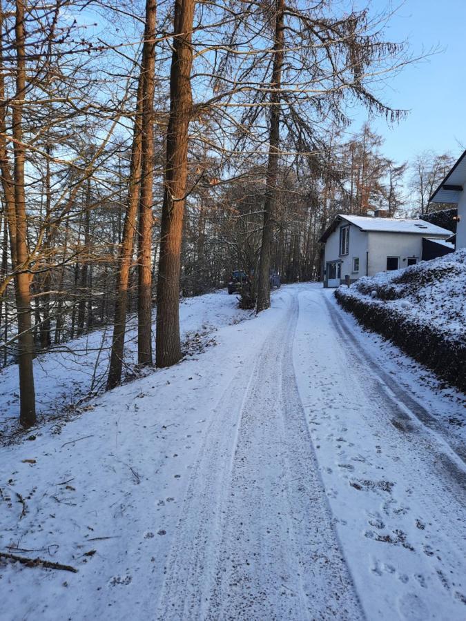 La Pinede - Charmante Maison De Village * Hotton